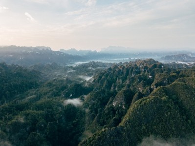 Part of the commitment will see actions taken in the Indonesian part of Borneo to halt further deforestation on the island [Getty Images]