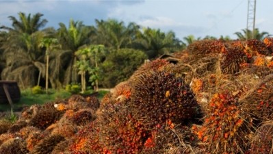 Estée Lauder, BASF & the RSPO new partnership