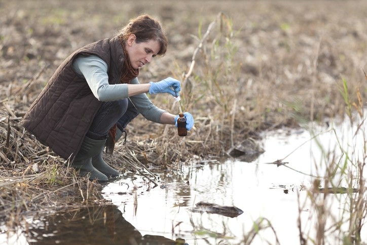 Perfluoroalkyl and Polyfluoroalkyl Substances (PFAs), used across a range of industries from aerospace and cookware to textiles and cosmetics, are considered 'forever chemicals' that persist in the environment, contaminating ground water, soil, plants and even animals and humans [Getty Images] 