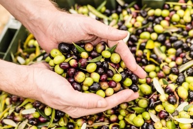 Olive Pomace © Silvia Bianchini Getty Images