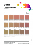 CameleonCaps™ win Silver @ In-Cos MakeUp Bar! 